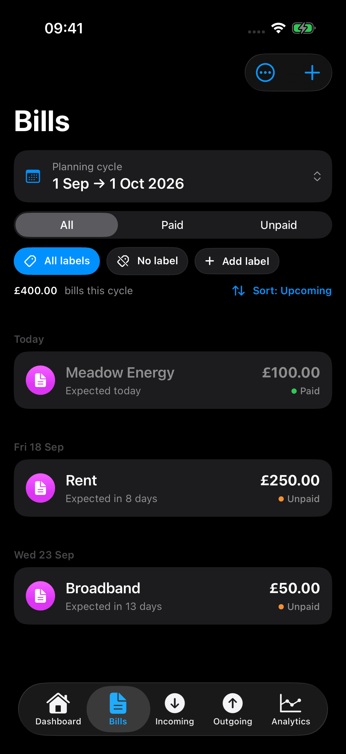 The original fictional Meadow Energy £100 bill marked Paid; Rent and Broadband remain Unpaid.